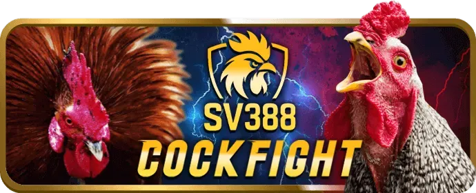 Hỗ trợ khách hàng 24/7 234win